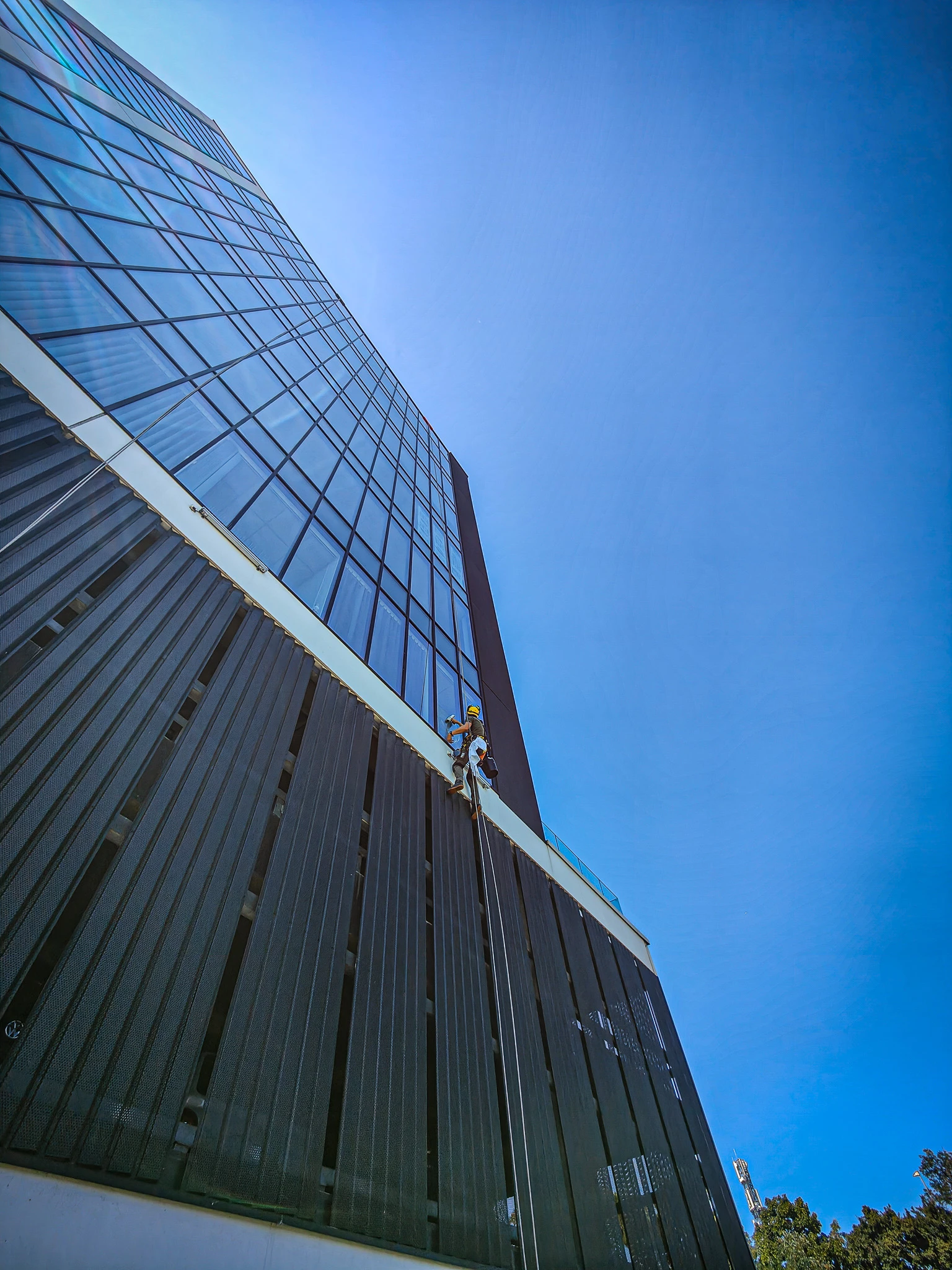 Intervention de cordistes MS Access pour vue dégagée chez BOR ROCADE à Villenave-d'Ornon (bâtiment) – 6